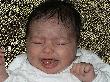 20040329.JPG